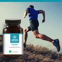 Stamina: Energy and Vitality