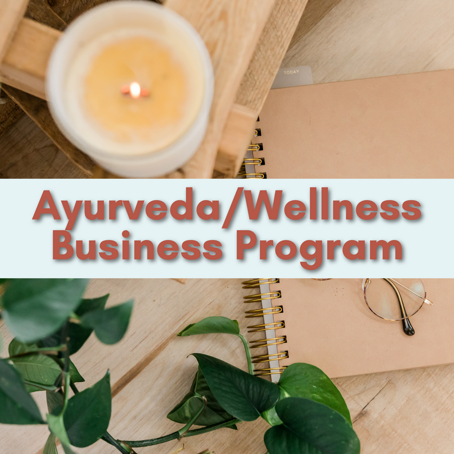 Ayurveda/Wellness Business Program