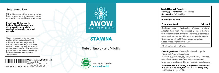 Stamina: Energy and Vitality